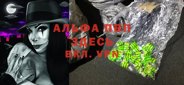 индика Алексеевка