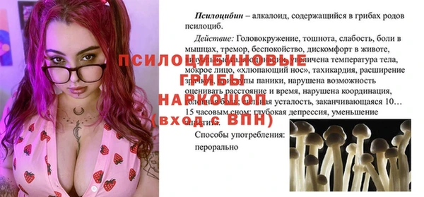 индика Алексеевка
