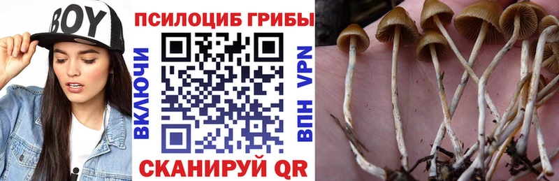 сколько стоит  Льгов  Псилоцибиновые грибы Magic Shrooms 